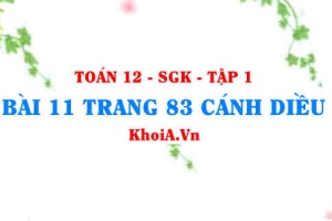 Bài 11 trang 83 Toán 12 tập 1 Cánh Diều